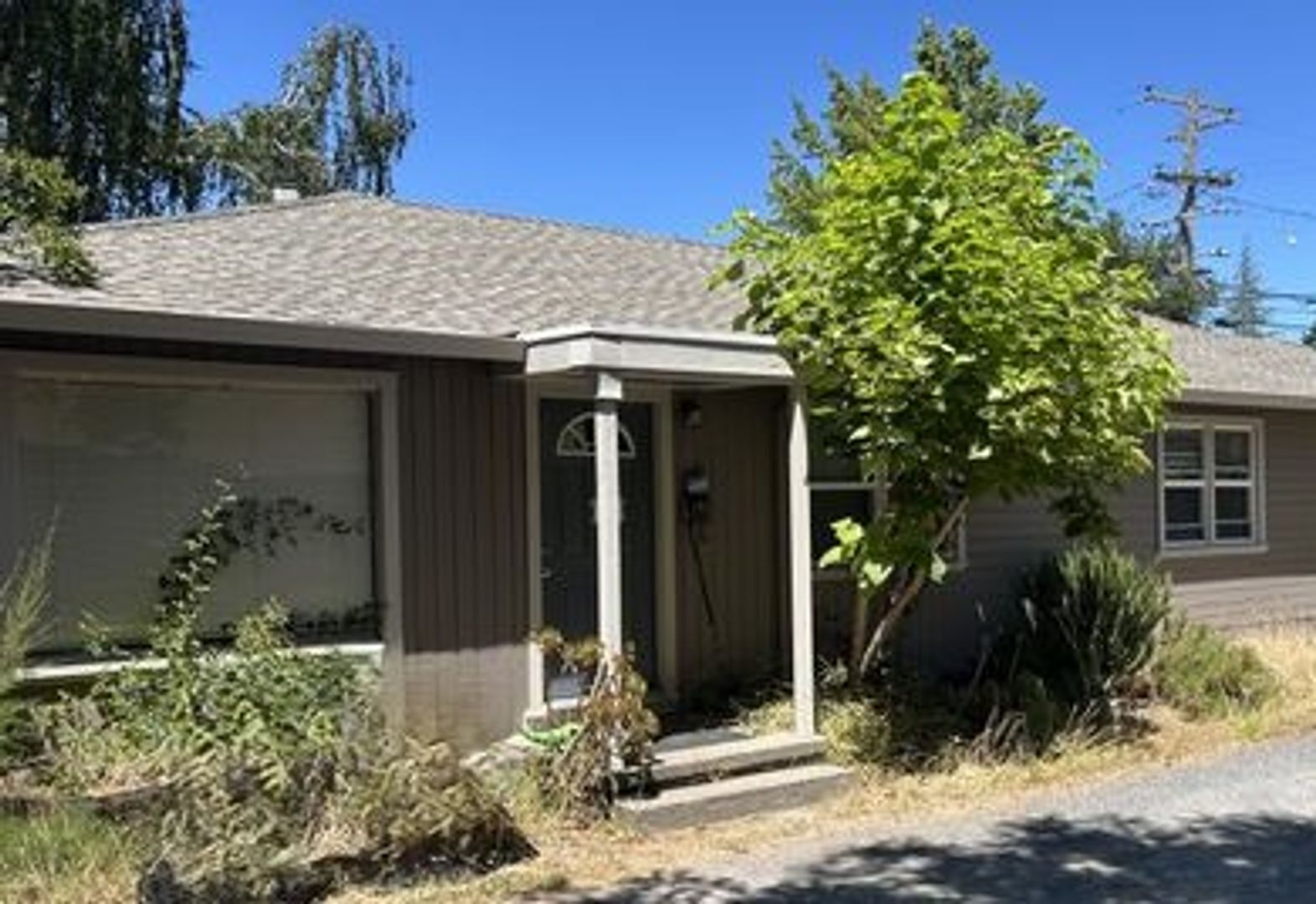 308 Springdale Street  - Sebastopol - California - 1 bed, 1 bath rental property