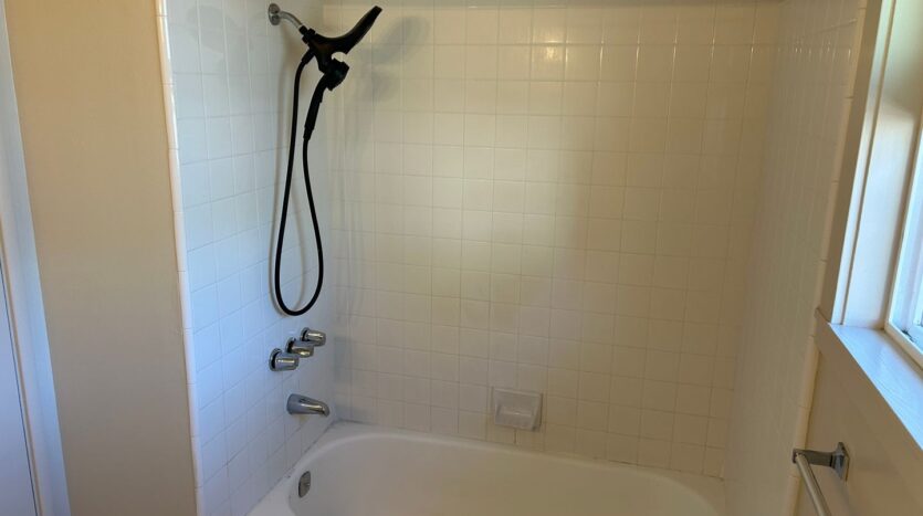 308 Springdale Street  - Sebastopol - California - 1 bed, 1 bath rental property