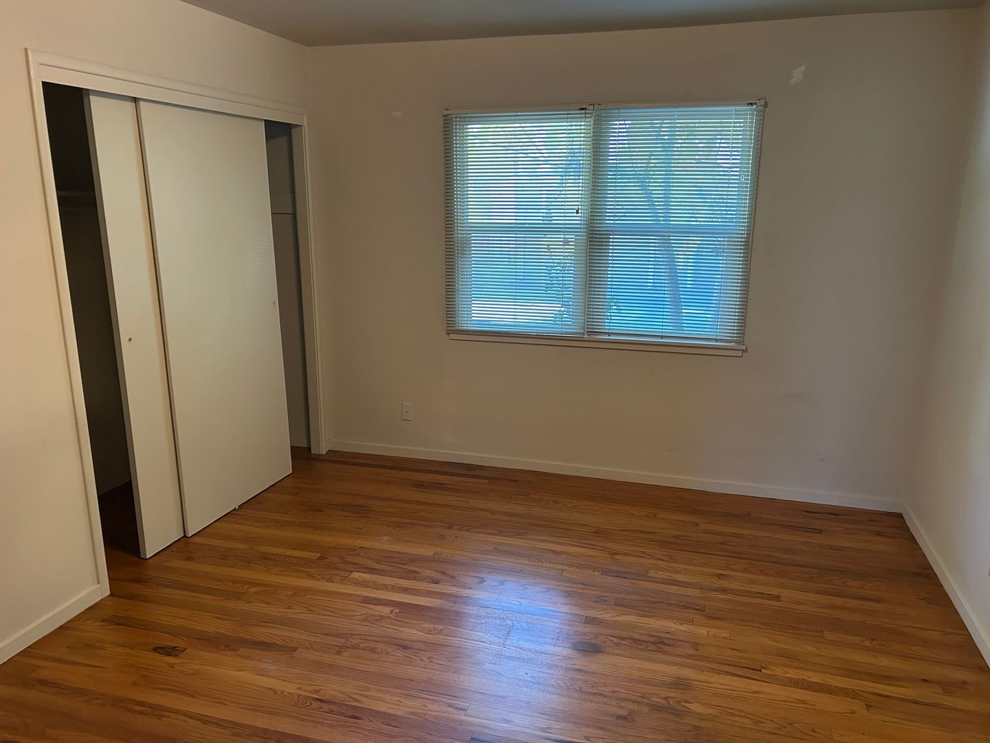 308 Springdale Street  - Sebastopol - California - 1 bed, 1 bath rental property