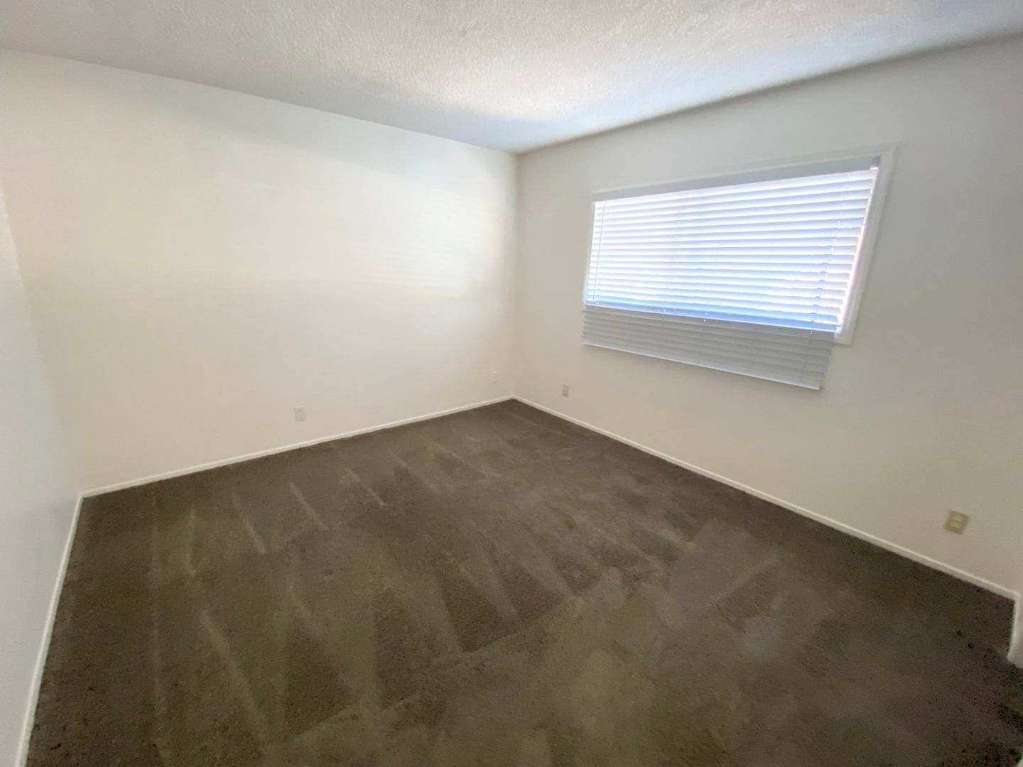 33951 Violet Lantern  - Unit F - Dana Point - California - 1 bed, 1 bath rental property