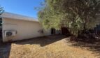37938 Palm Vista Ave - Palmdale - California - 1 bed, 1 bath rental property