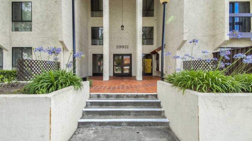 39931 Cedar Blvd UNIT 203 - Newark - California - 1 bed, 1 bath rental property