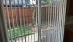 4960 School Street Unit A - Santa Rosa - California - 2 bed, 1 bath rental property
