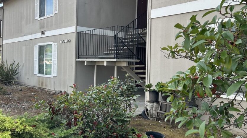 4960 School Street Unit A - Santa Rosa - California - 2 bed, 1 bath rental property