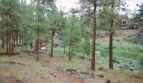 630 NW Silver Buckle Rd - Bend - Oregon - 4 bed, 3.5 bath rental property