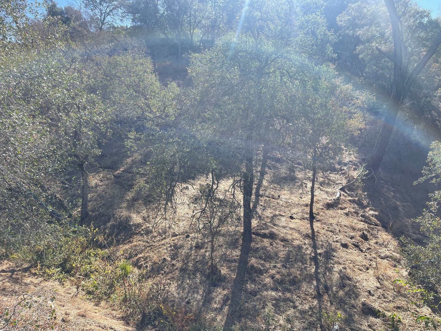 6973 Baldwin Street - Valley Springs - California - 3 bed, 2 bath rental property