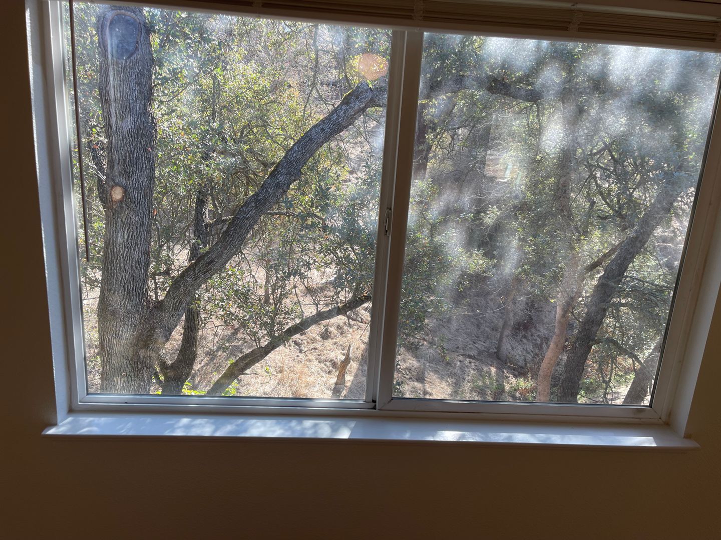 6973 Baldwin Street - Valley Springs - California - 3 bed, 2 bath rental property