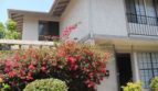 9568 Easter Way - San Diego - California - 3 bed, 2 bath rental property