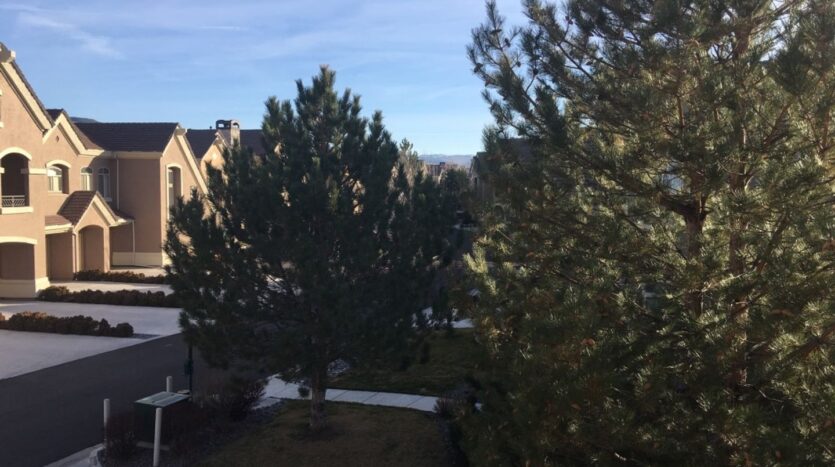 9900 Wilbur May Parkway #4203 - Reno - Nevada - 2 bed, 2 bath rental property